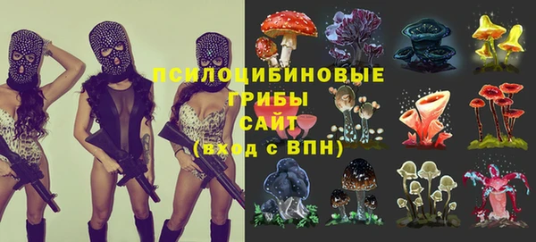 прущий лед Каменногорск
