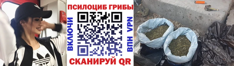 Псилоцибиновые грибы GOLDEN TEACHER Лениногорск