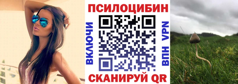 Купить  Лениногорск  Псилоцибиновые грибы прущие грибы 